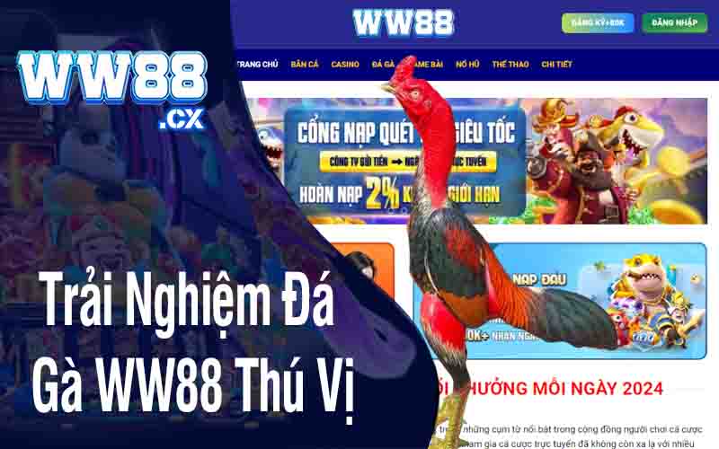 Trải Nghiệm Đá Gà WW88 Thú Vị